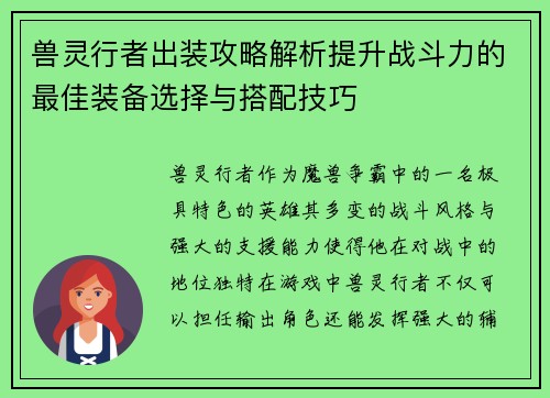 兽灵行者出装攻略解析提升战斗力的最佳装备选择与搭配技巧